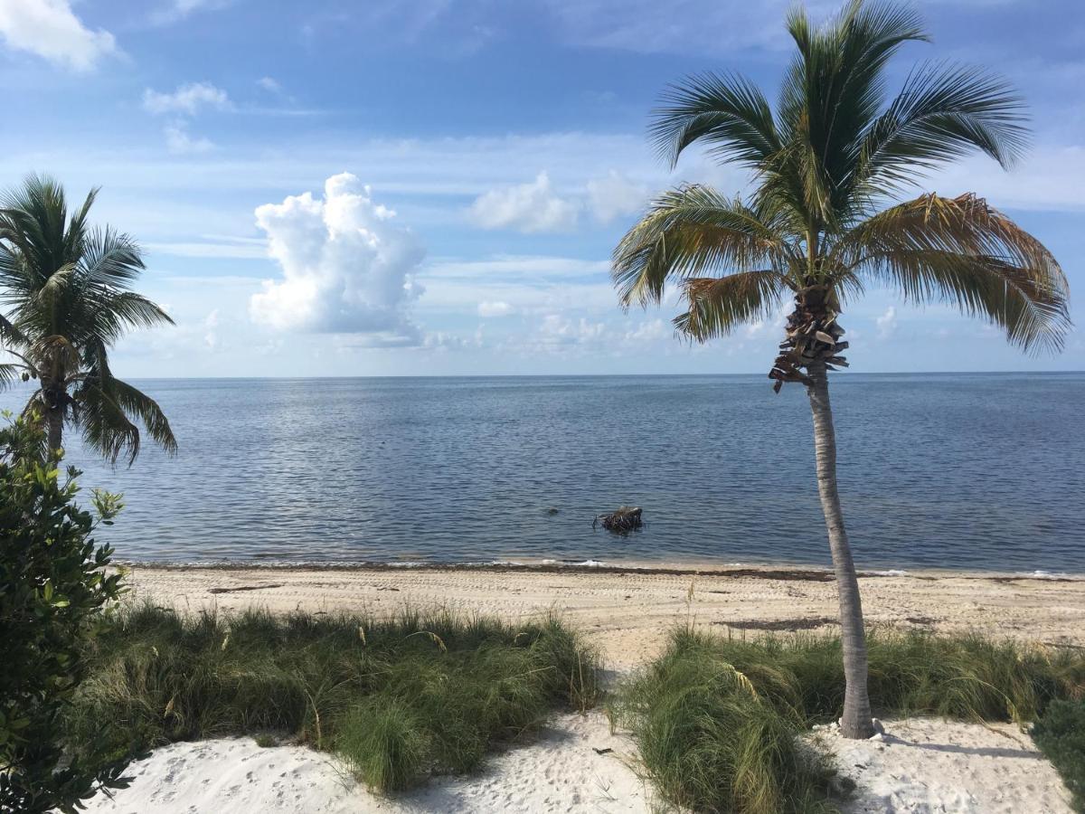 Bed and Breakfast Deer Run On The Atlantic Big Pine Key Exterior foto